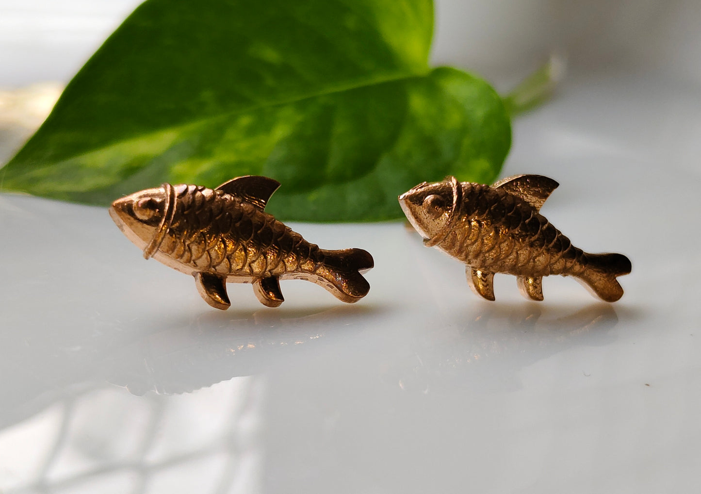 Fish Studs