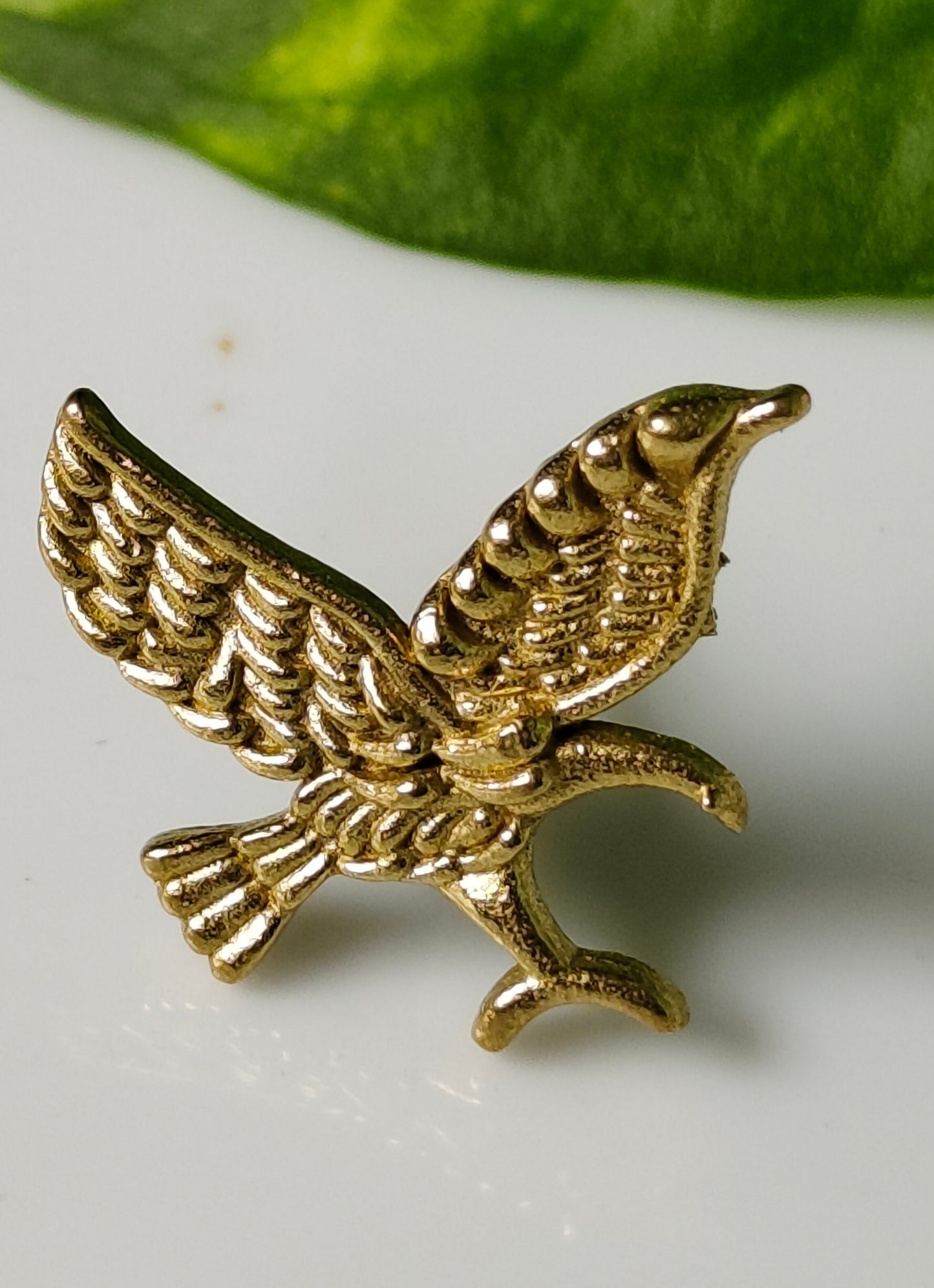 Eagle Studs