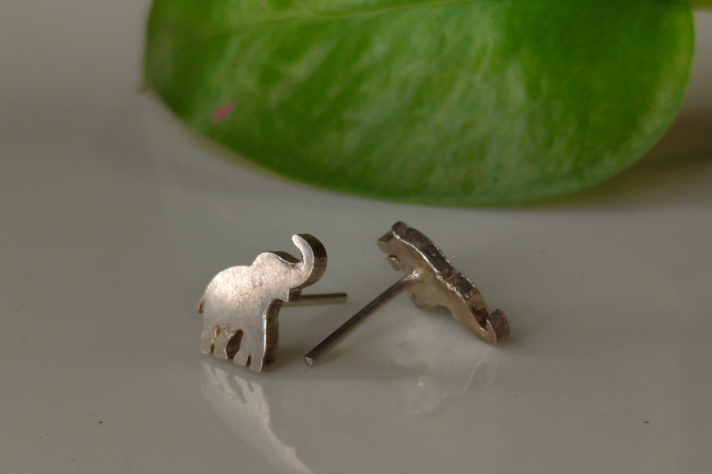 Elephant studs