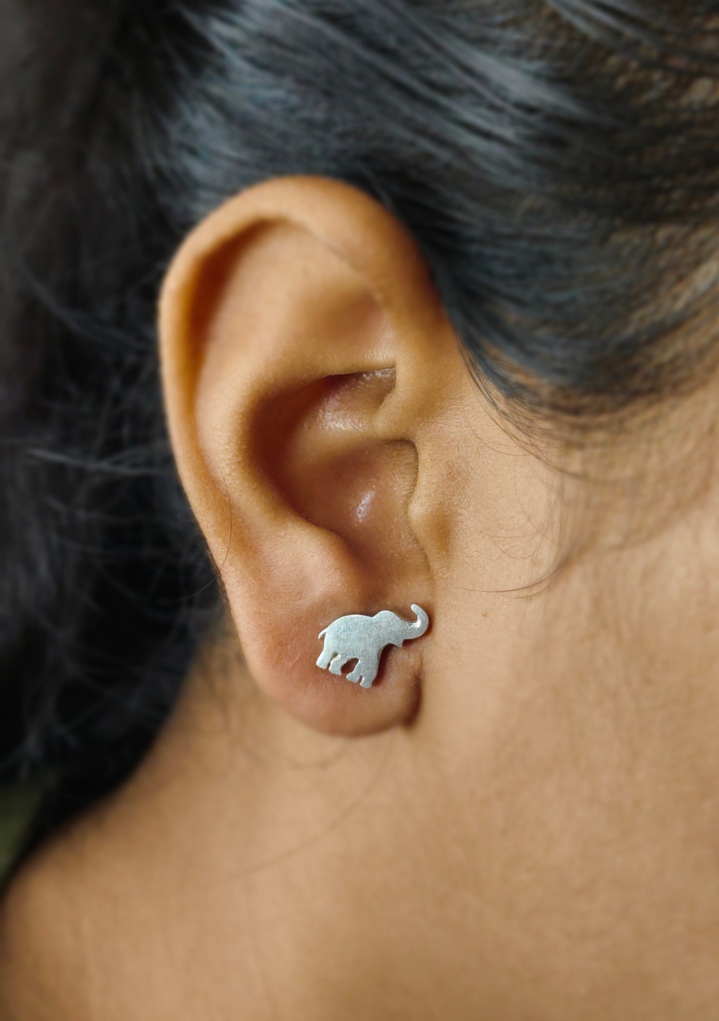 Elephant studs