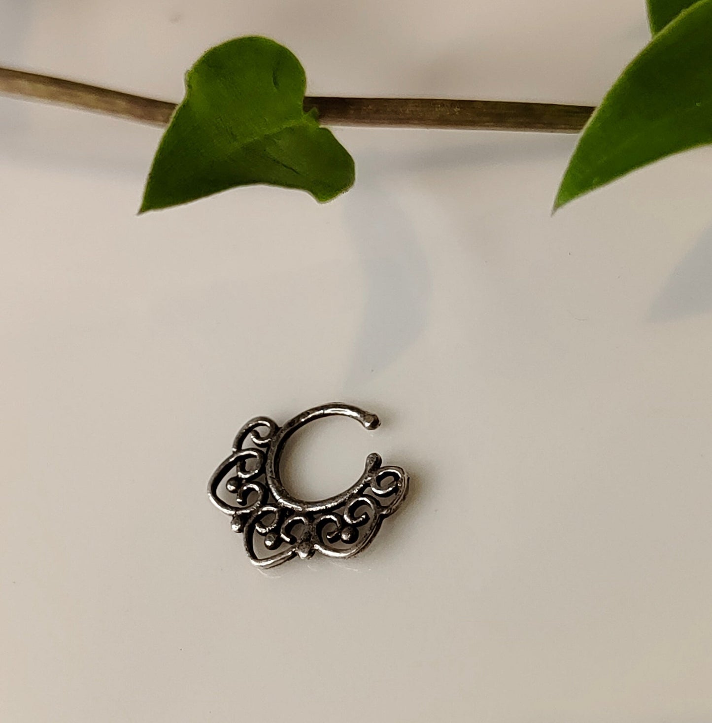 Jharokha Septum