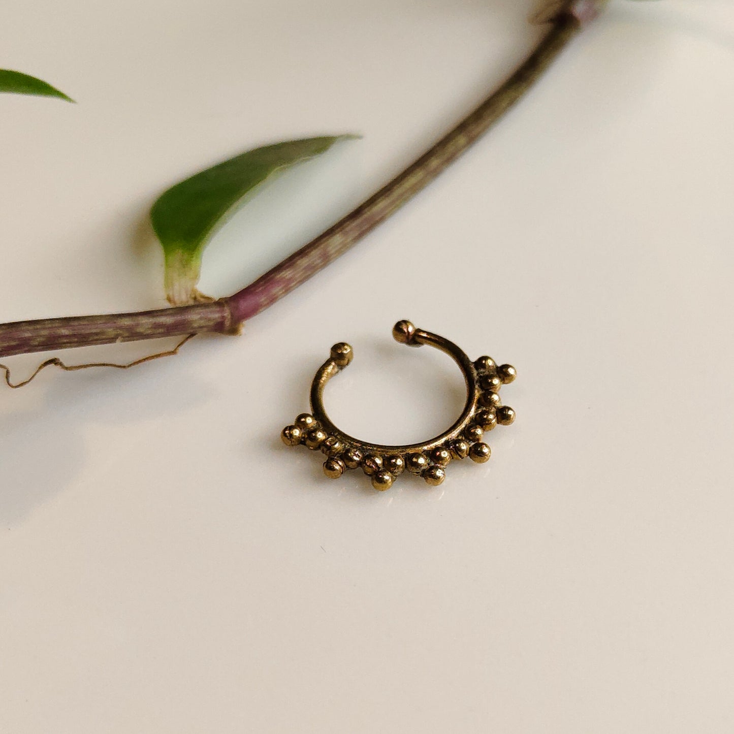 Tarika septum