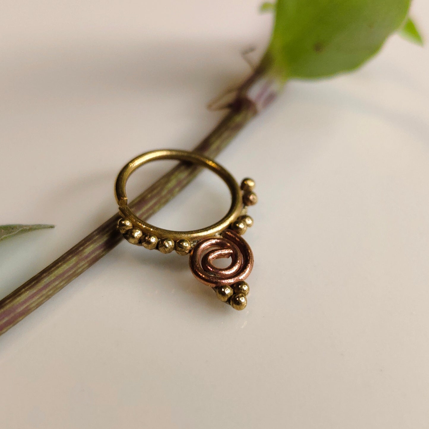 Vamika septum