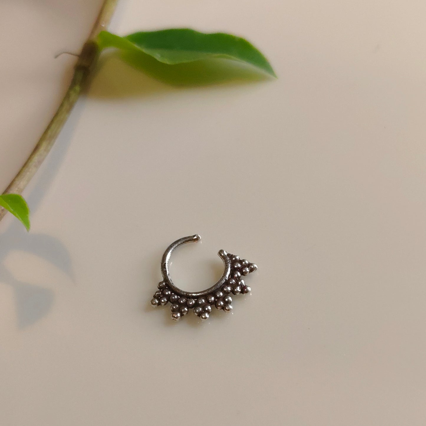 Tarini Septum