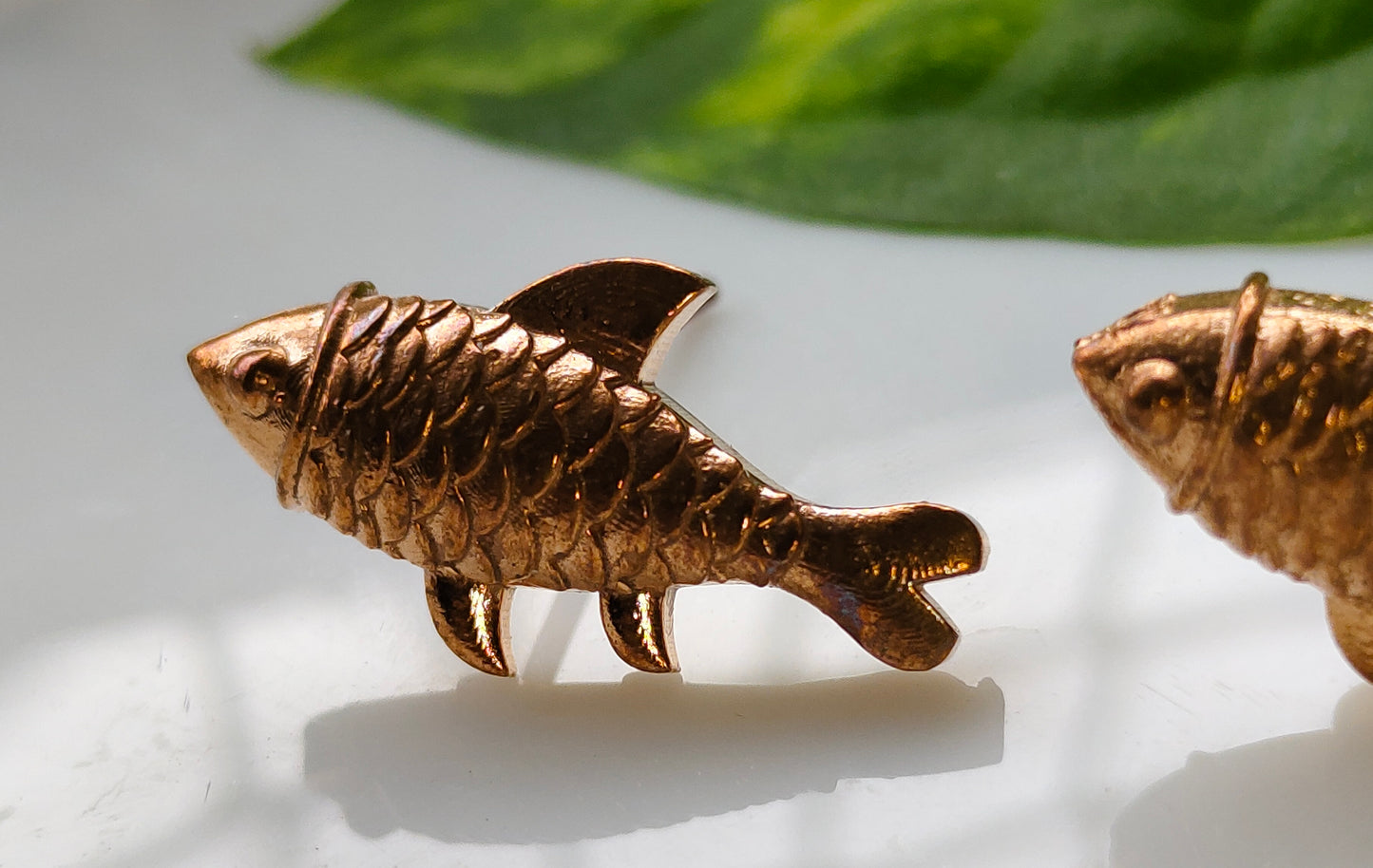 Fish Studs
