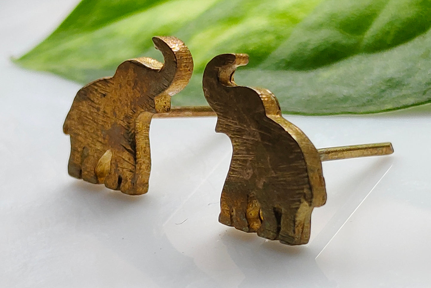 Elephant Studs