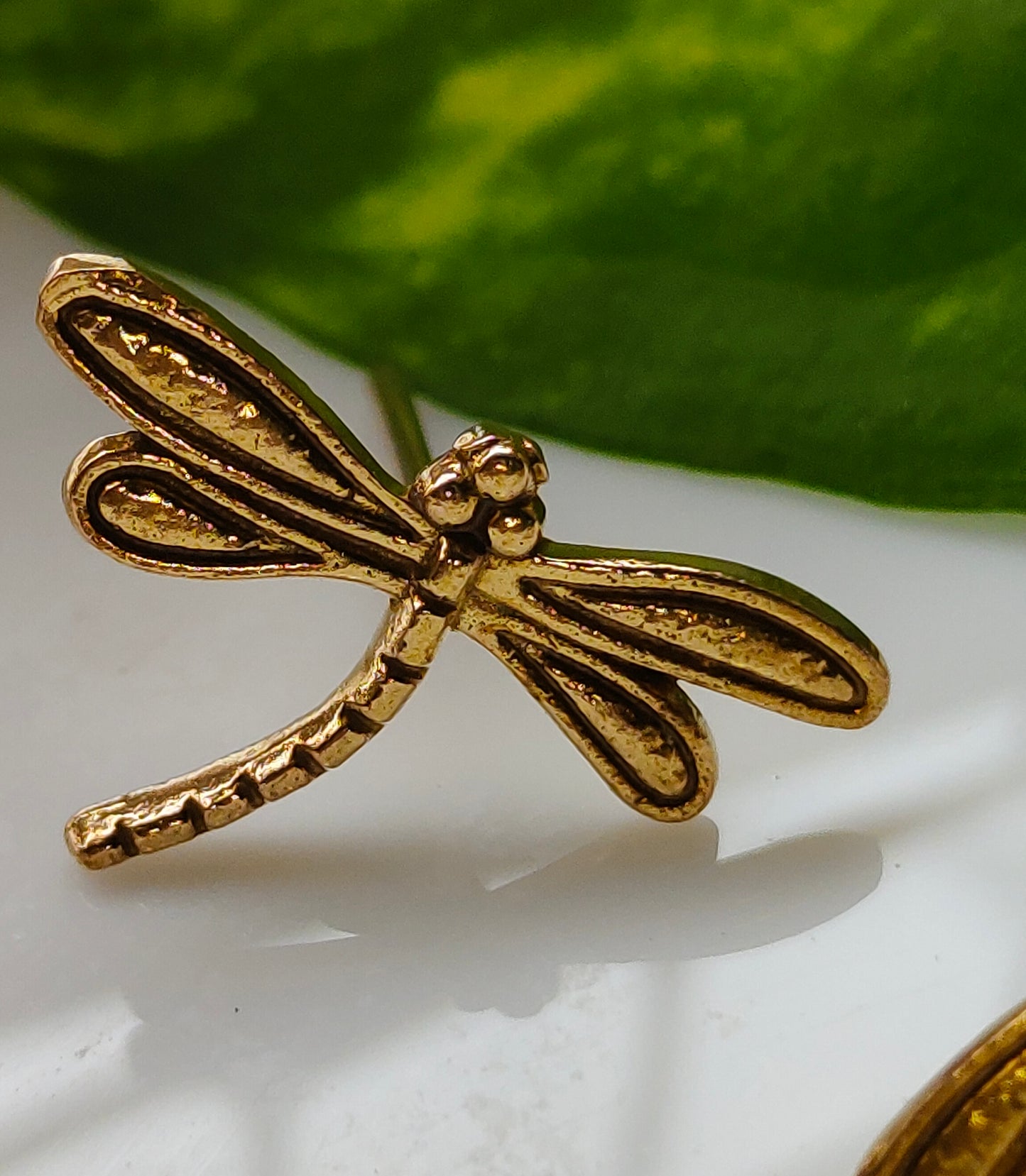 Dragonfly Studs