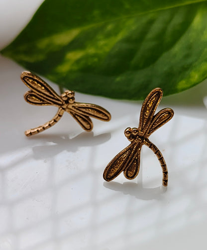 Dragonfly Studs