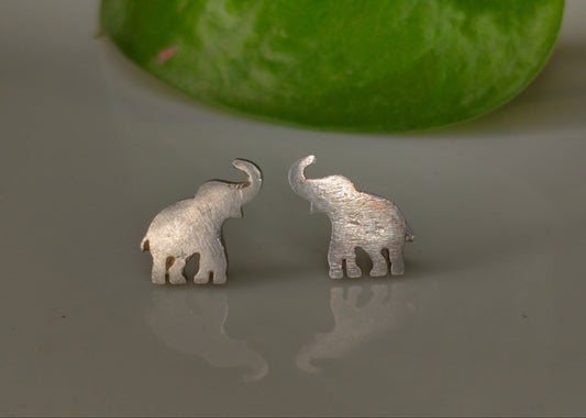 Elephant studs