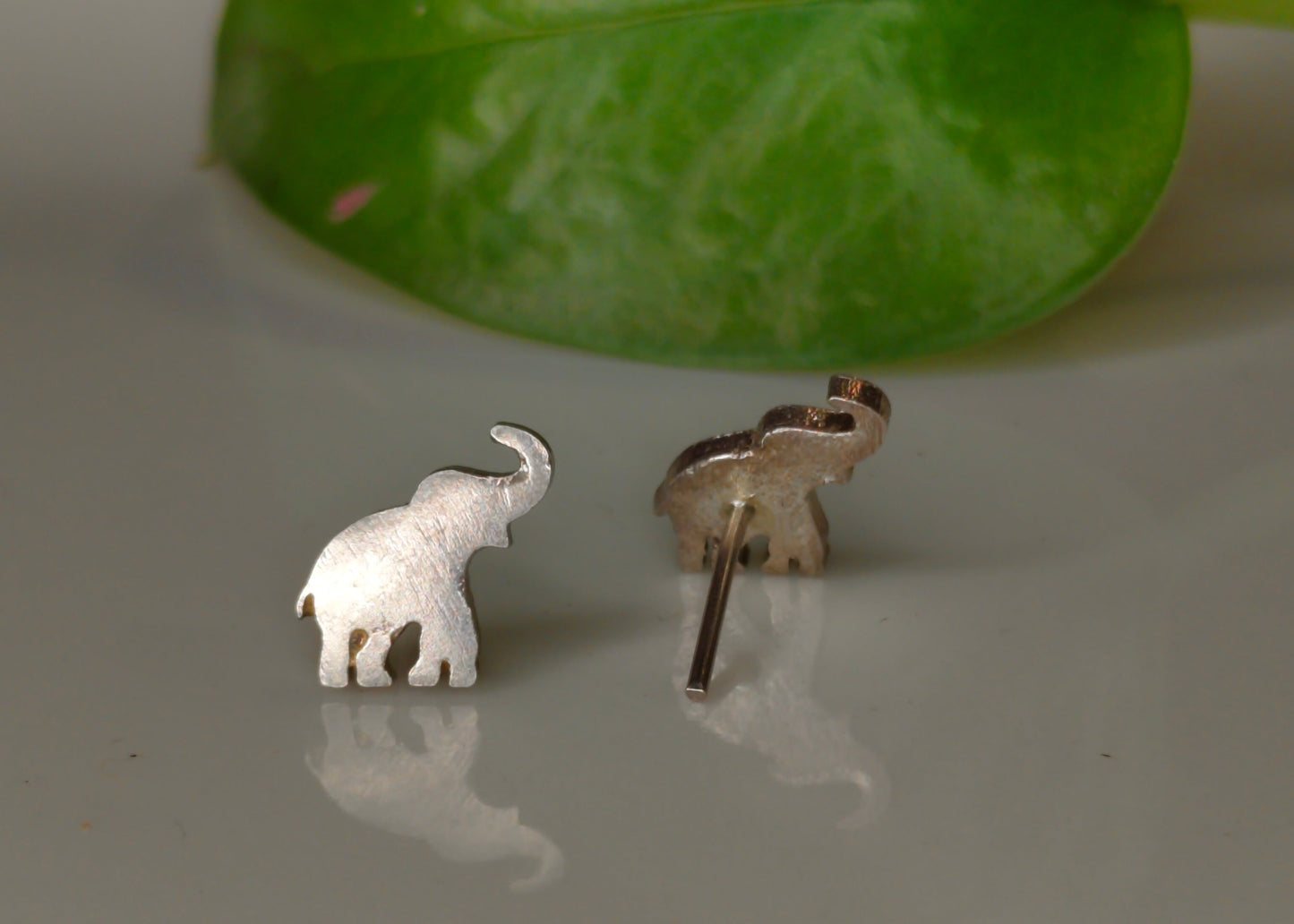 Elephant studs