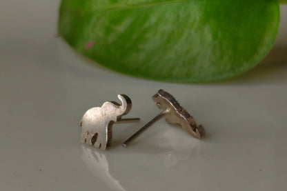 Elephant studs