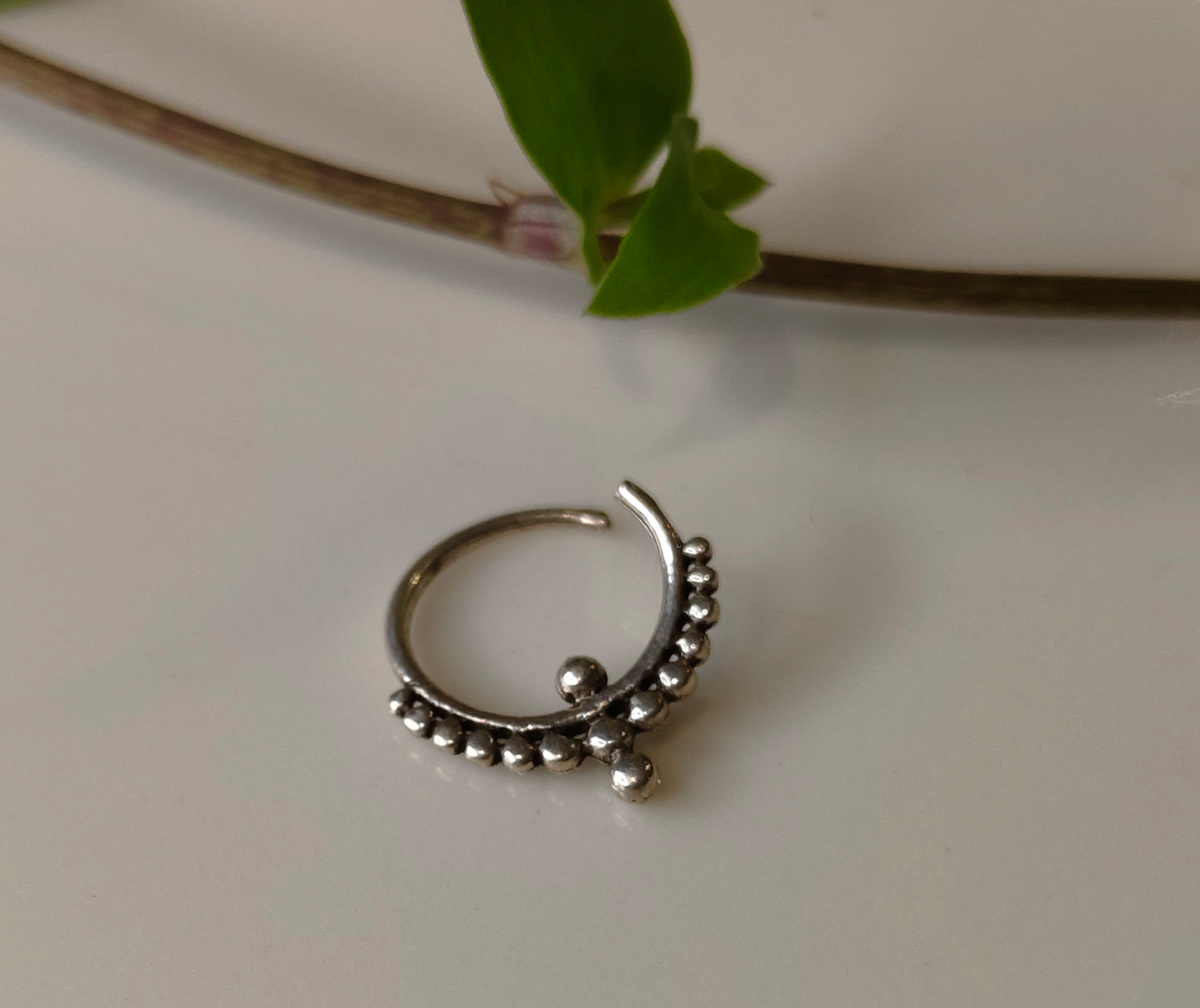 Chandrika Septum