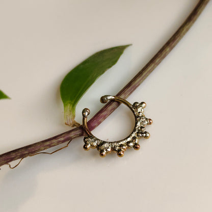 Tarika septum