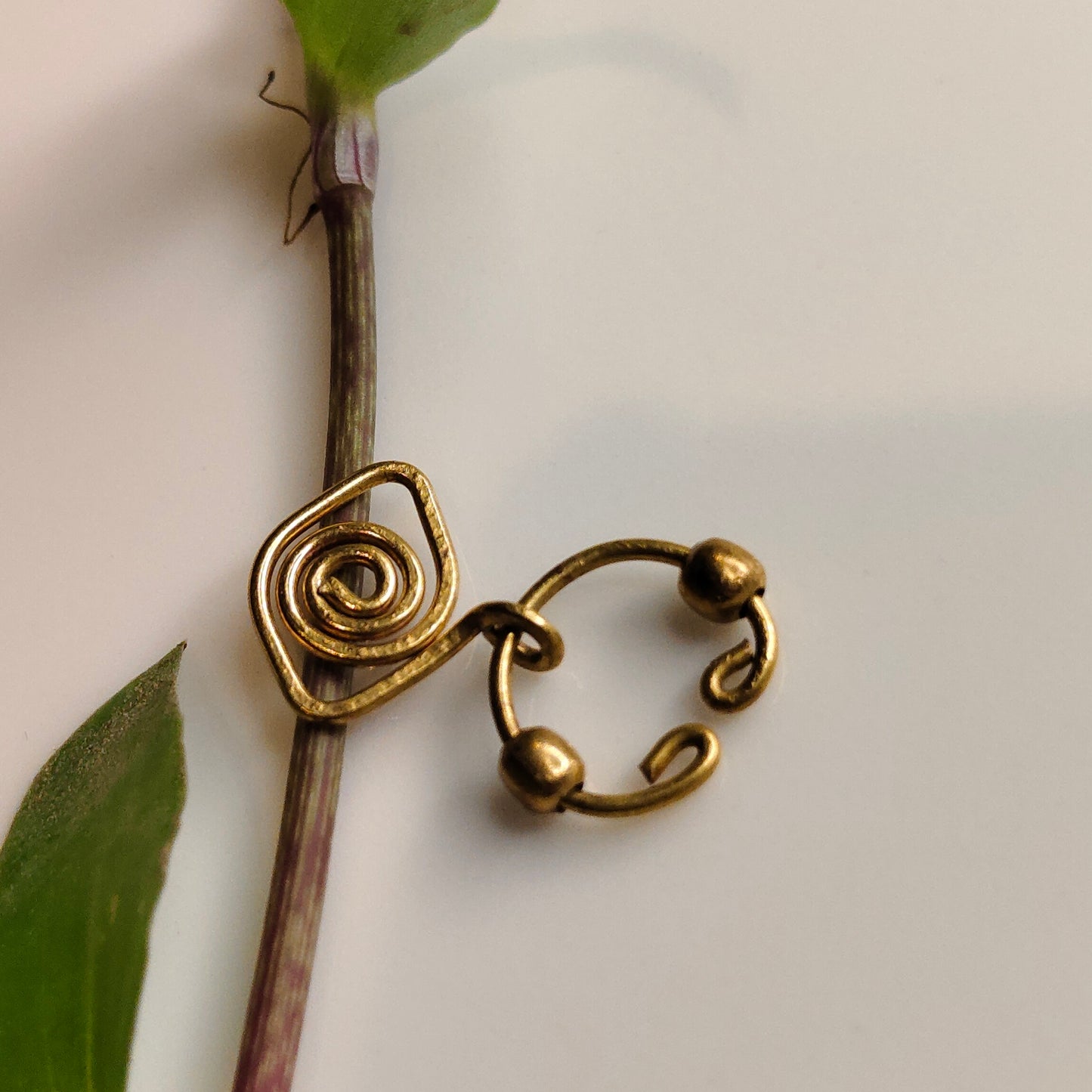 Drishti septum