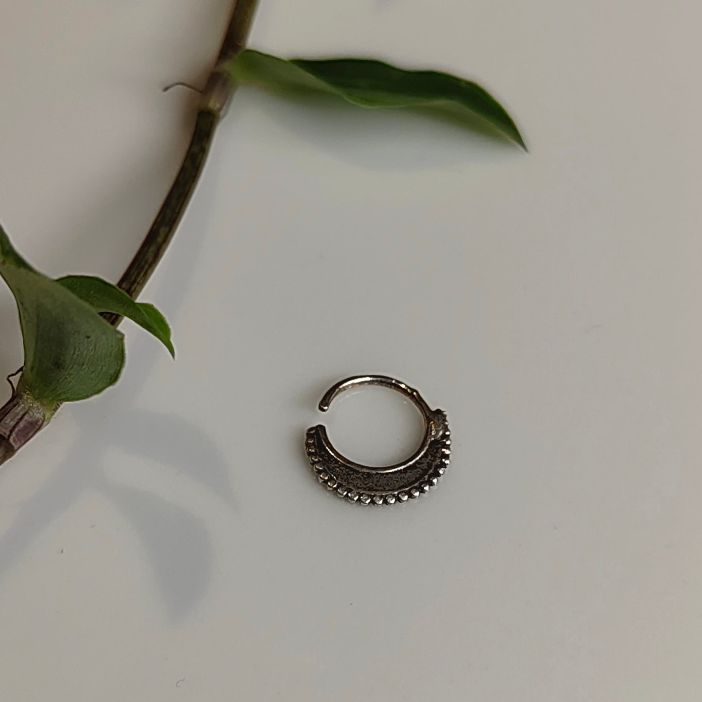 Mrinal Septum