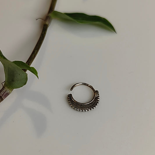 Mrinal Septum