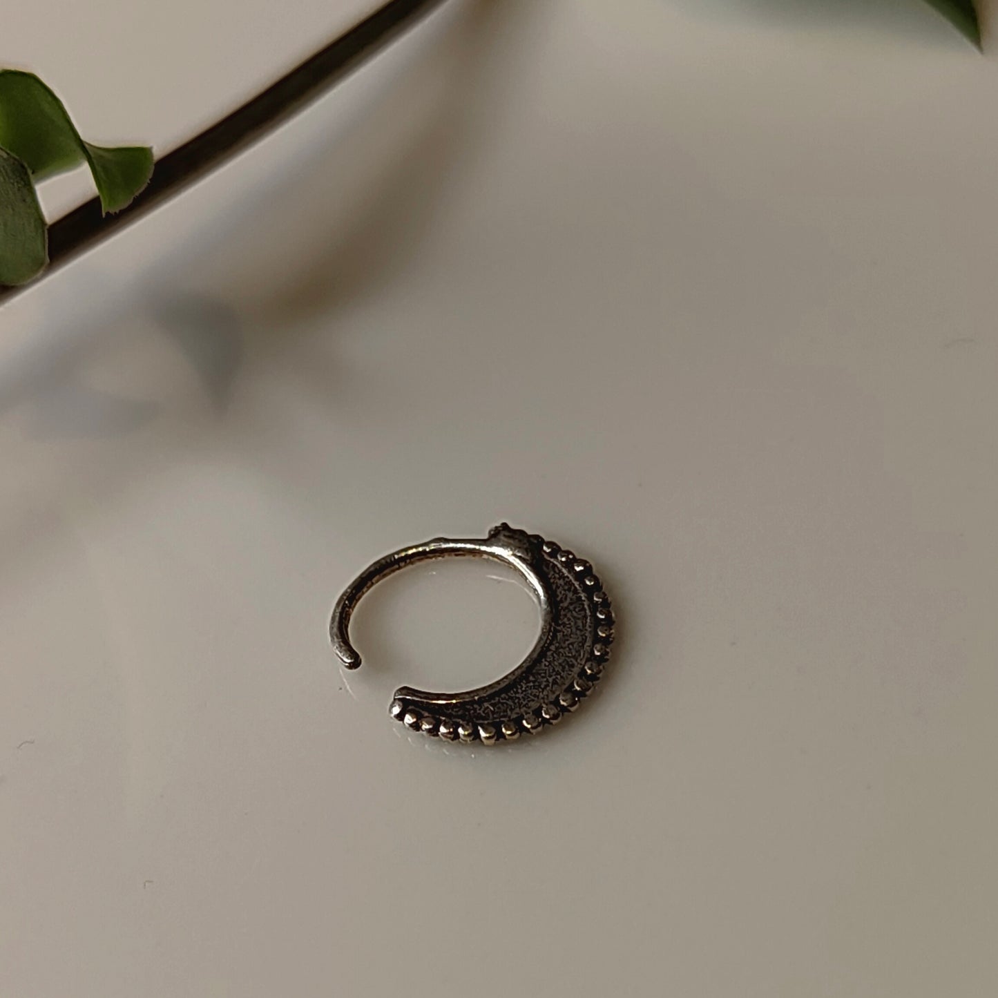 Mrinal Septum