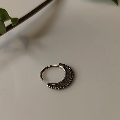Mrinal Septum