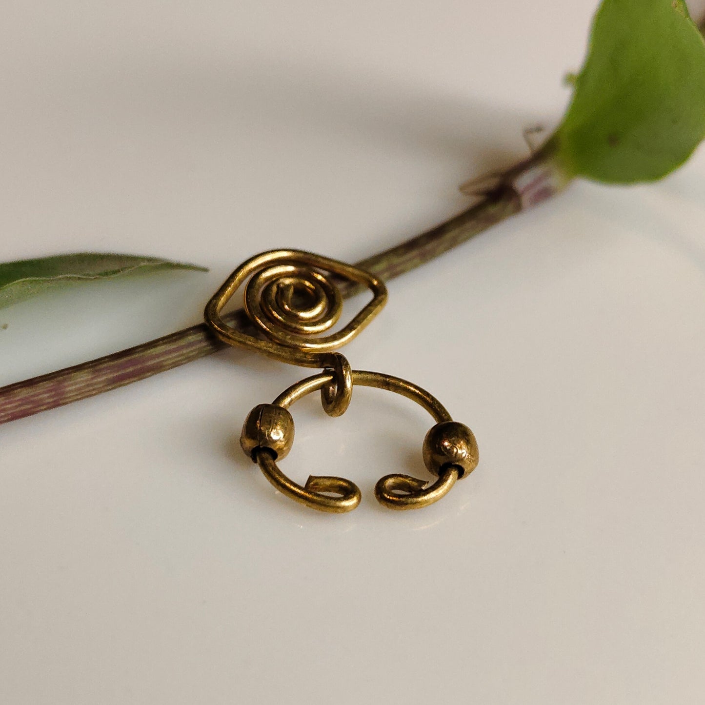 Drishti septum