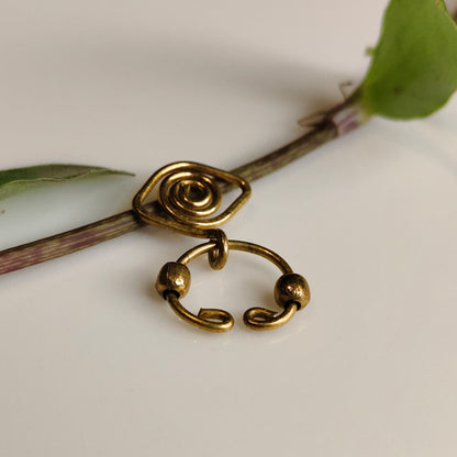Drishti septum