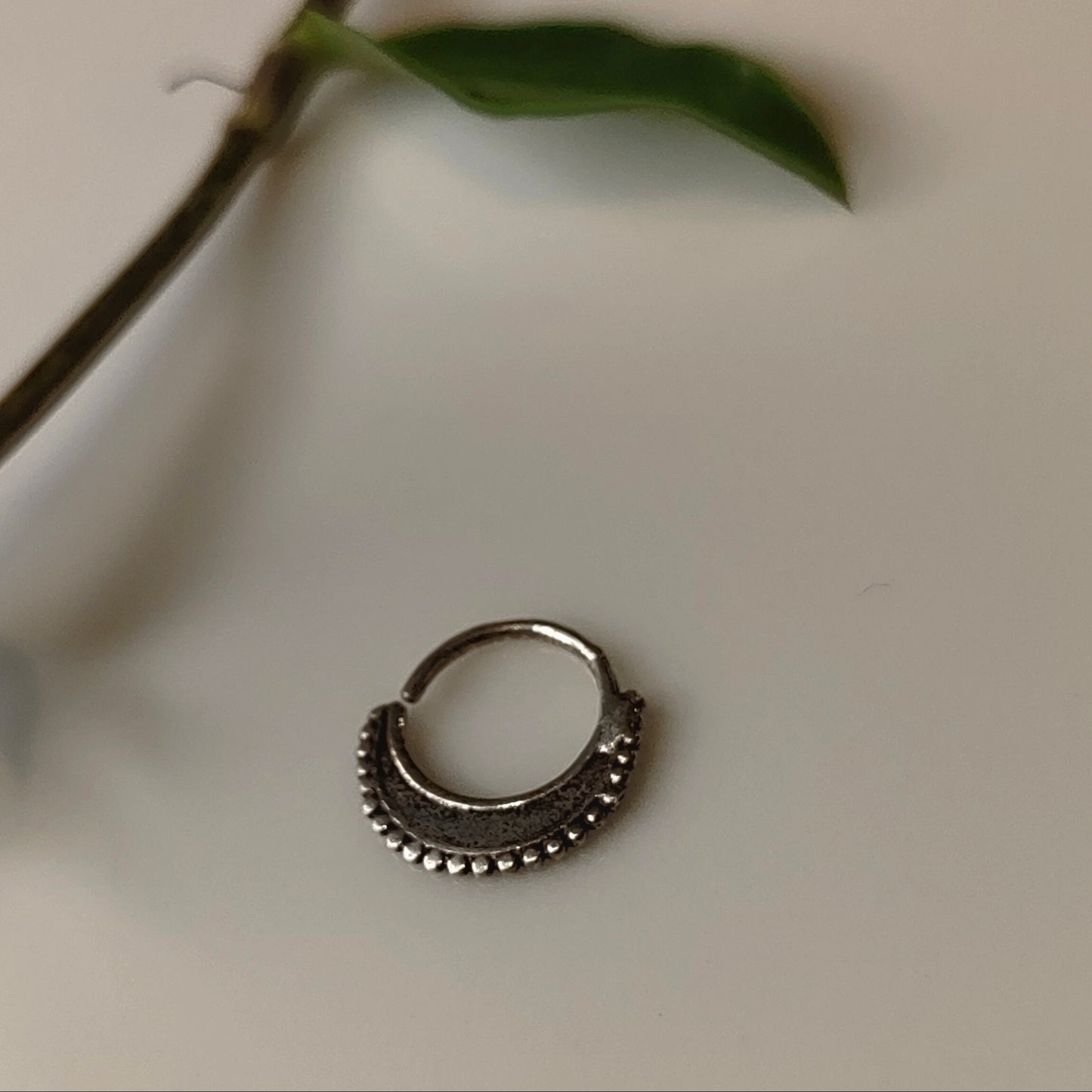 Mrinal Septum