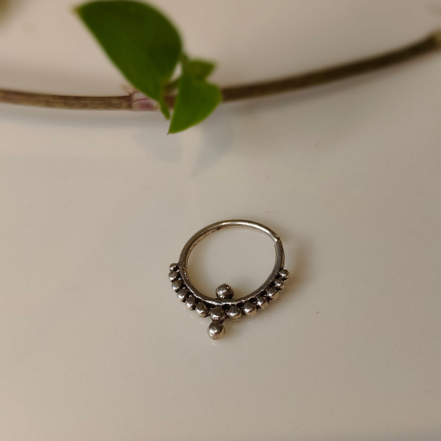 Chandrika Septum