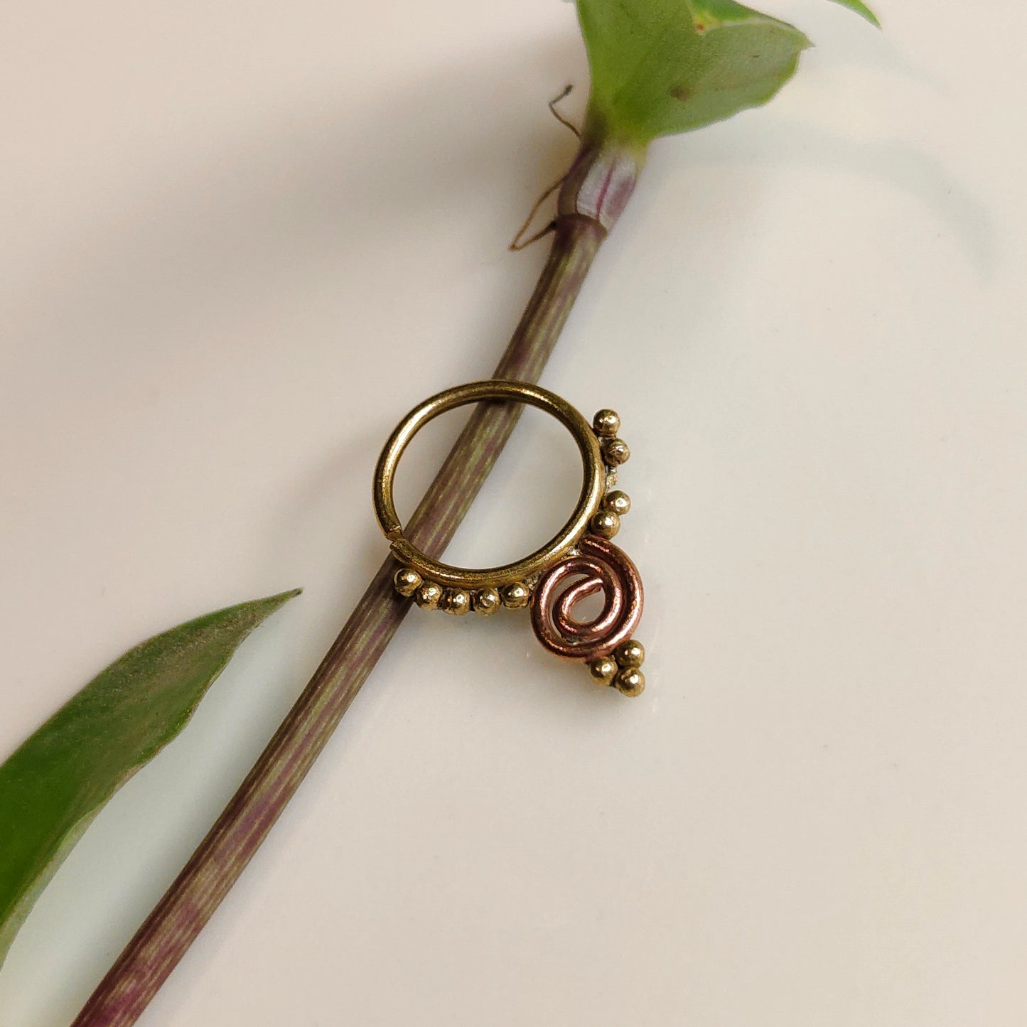 Vamika septum
