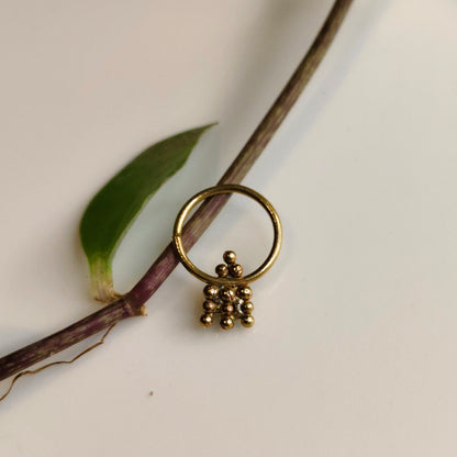Manjari septum